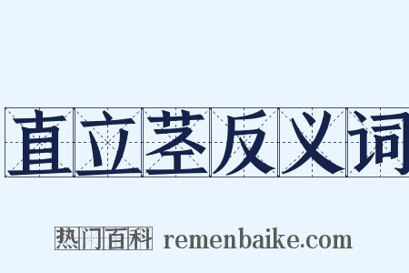 直立茎反义词是什么意思的图片